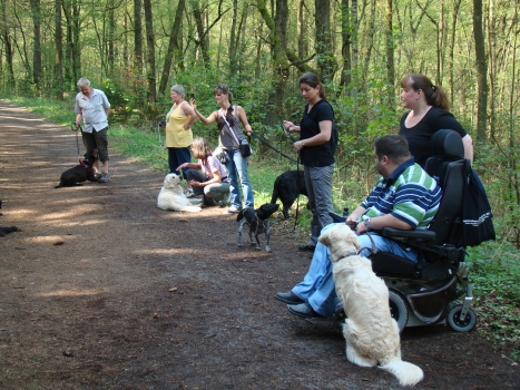 Ausbildung in der Hundeschule
